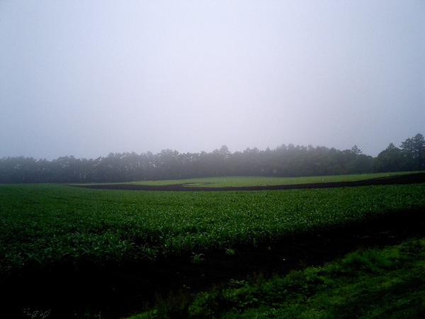 2005-07-15 06:48:27