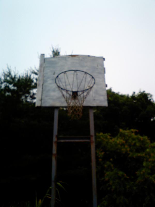 2005-07-15 07:04:52